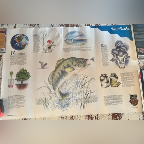 The Woodsy Team Forest Service USDA Water Works 1990s 20” x 30” Poster - Picture 1 of 1